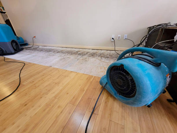 Professional Flood Damage Cleanup technician working in Hawthorne, WI